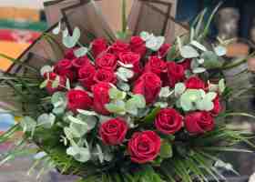 IMG-20250205-WA0024