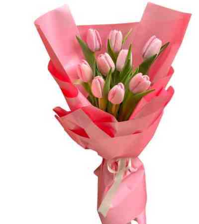 9 Pembe Lale