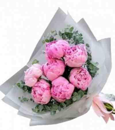 Pembe Peony Şakayık